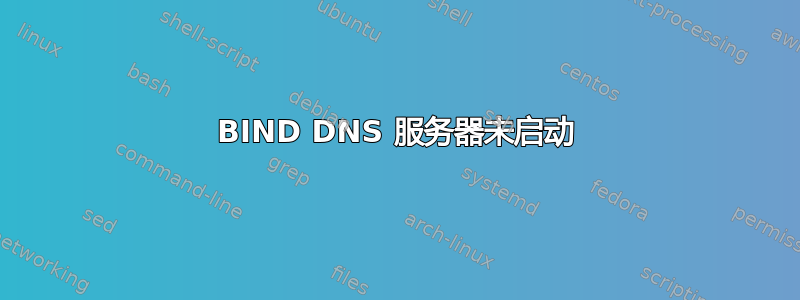 BIND DNS 服务器未启动