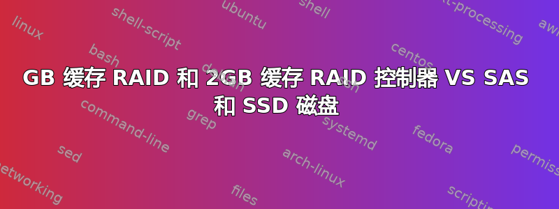 4GB 缓存 RAID 和 2GB 缓存 RAID 控制器 VS SAS 和 SSD 磁盘