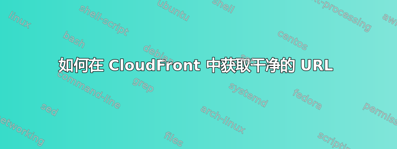 如何在 CloudFront 中获取干净的 URL