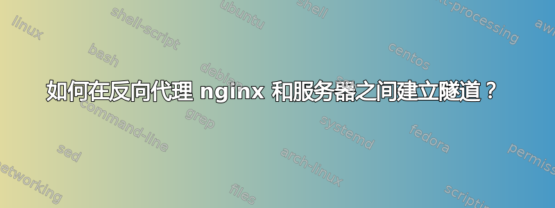 如何在反向代理 nginx 和服务器之间建立隧道？