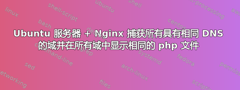 Ubuntu 服务器 + Nginx 捕获所有具有相同 DNS 的域并在所有域中显示相同的 php 文件