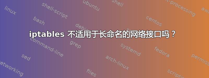 iptables 不适用于长命名的网络接口吗？