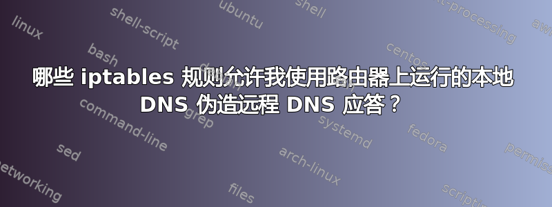 哪些 iptables 规则允许我使用路由器上运行的本地 DNS 伪造远程 DNS 应答？