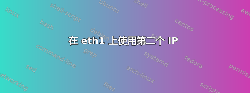 在 eth1 上使用第二个 IP