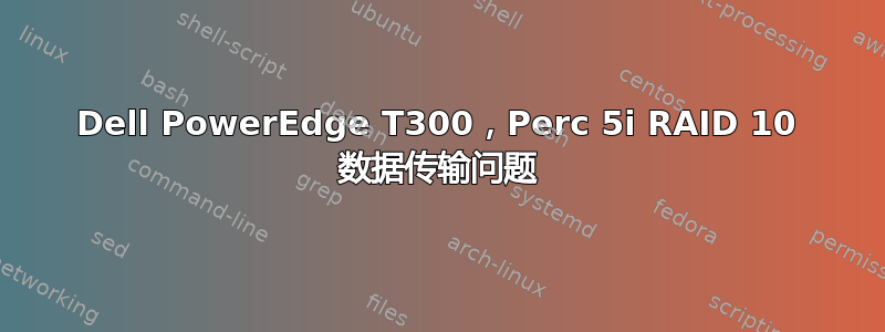 Dell PowerEdge T300，Perc 5i RAID 10 数据传输问题