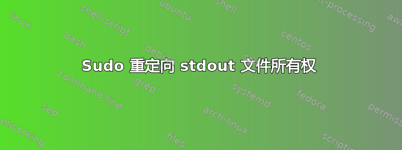 Sudo 重定向 stdout 文件所有权