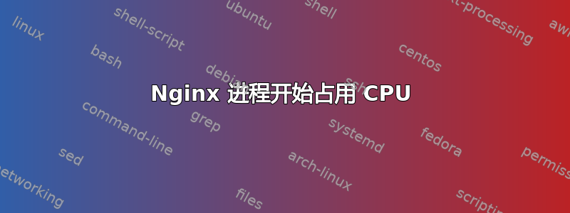 Nginx 进程开始占用 CPU