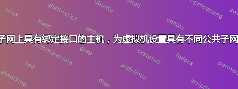 在一个子网上具有绑定接口的主机，为虚拟机设置具有不同公共子网的桥接