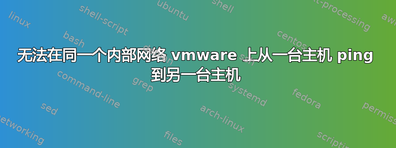 无法在同一个内部网络 vmware 上从一台主机 ping 到另一台主机