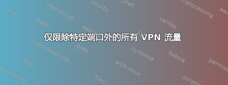 仅限除特定端口外的所有 VPN 流量