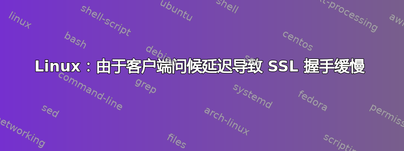 Linux：由于客户端问候延迟导致 SSL 握手缓慢