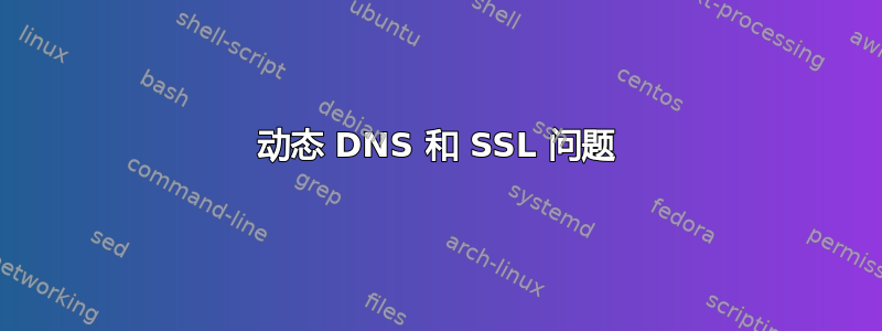 动态 DNS 和 SSL 问题