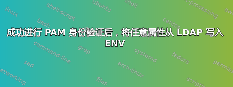 成功进行 PAM 身份验证后，将任意属性从 LDAP 写入 ENV