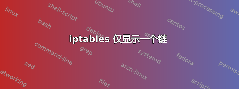 iptables 仅显示一个链