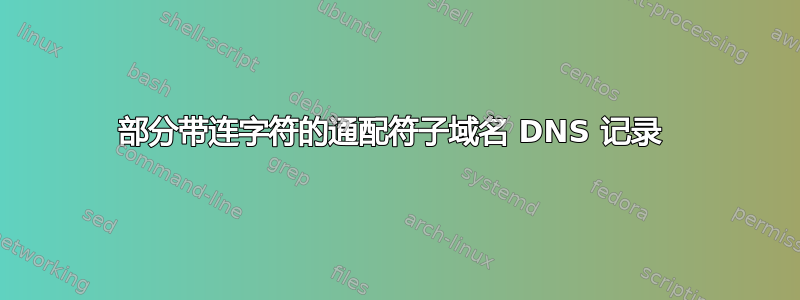 部分带连字符的通配符子域名 DNS 记录 