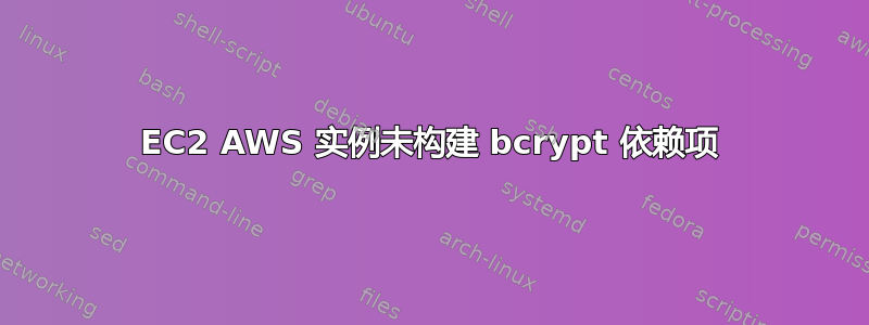 EC2 AWS 实例未构建 bcrypt 依赖项