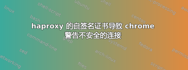 haproxy 的自签名证书导致 chrome 警告不安全的连接