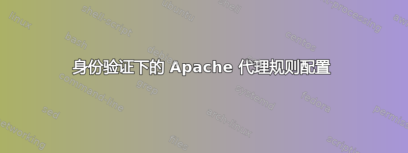 身份验证下的 Apache 代理规则配置