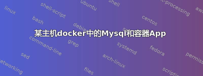 某主机docker中的Mysql和容器App