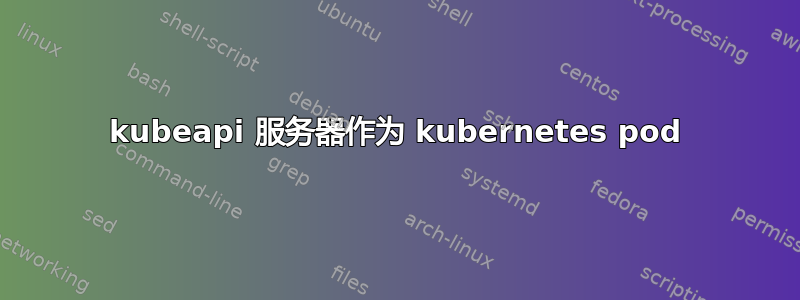 kubeapi 服务器作为 kubernetes pod