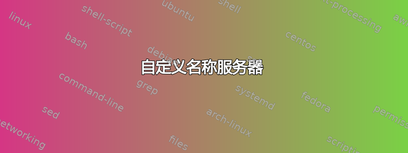 自定义名称服务器