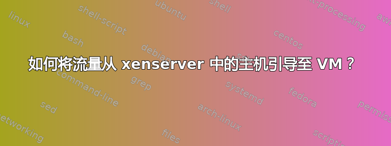 如何将流量从 xenserver 中的主机引导至 VM？