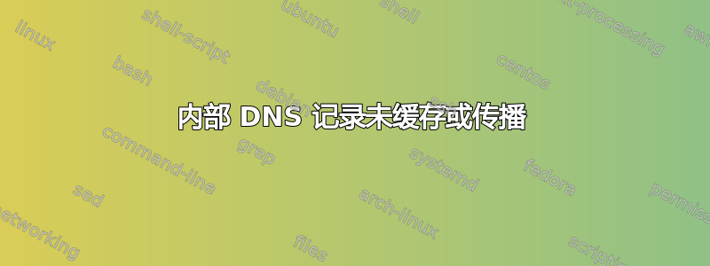 内部 DNS 记录未缓存或传播