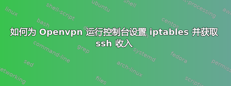 如何为 Openvpn 运行控制台设置 iptables 并获取 ssh 收入