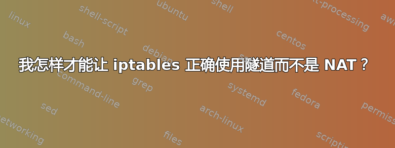 我怎样才能让 iptables 正确使用隧道而不是 NAT？