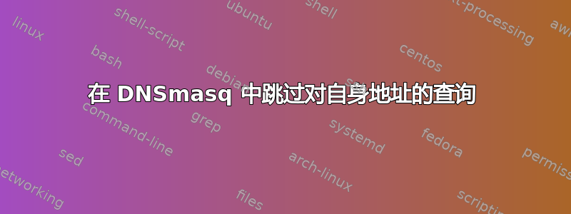 在 DNSmasq 中跳过对自身地址的查询