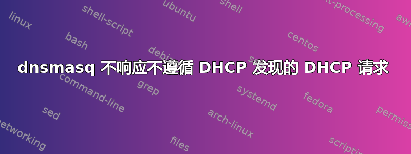 dnsmasq 不响应不遵循 DHCP 发现的 DHCP 请求