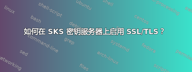 如何在 SKS 密钥服务器上启用 SSL/TLS？