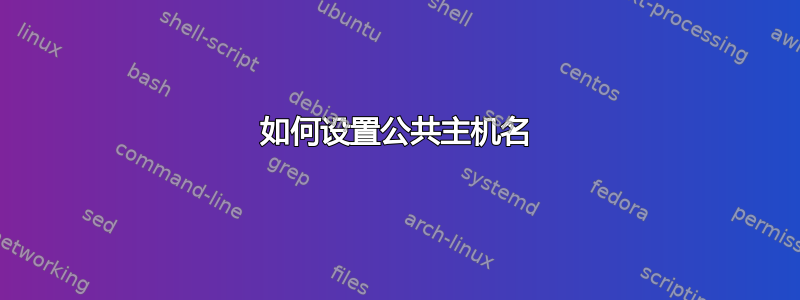 如何设置公共主机名