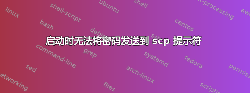 启动时无法将密码发送到 scp 提示符