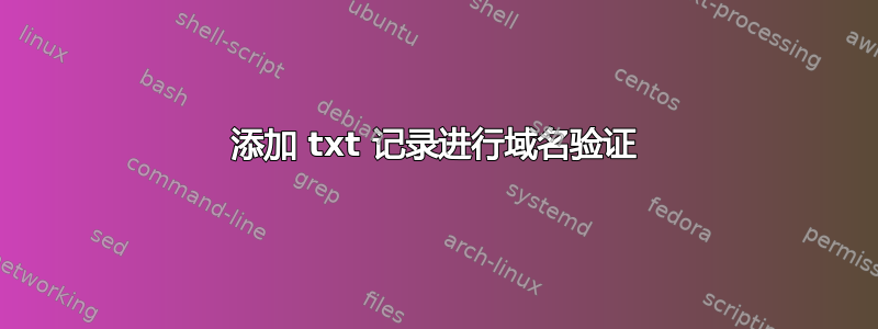 添加 txt 记录进行域名验证