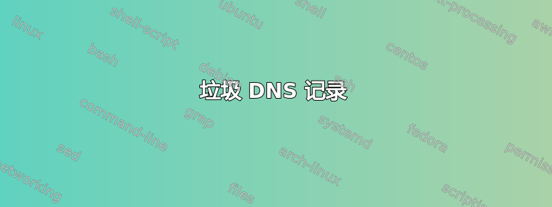 垃圾 DNS 记录