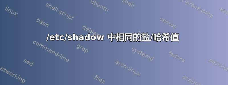 /etc/shadow 中相同的盐/哈希值