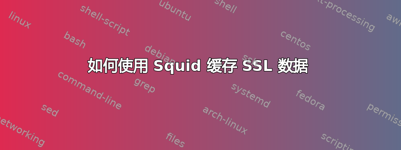 如何使用 Squid 缓存 SSL 数据