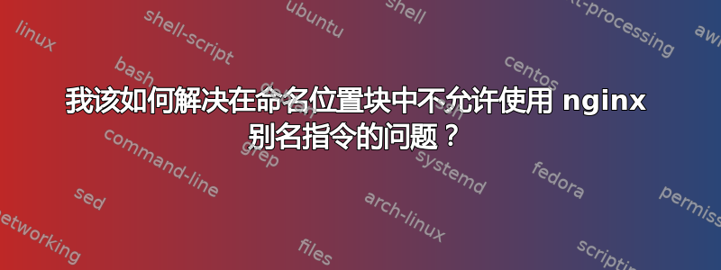 我该如何解决在命名位置块中不允许使用 nginx 别名指令的问题？