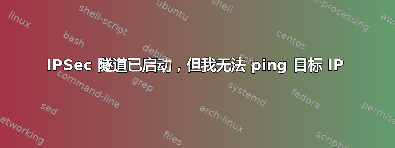 IPSec 隧道已启动，但我无法 ping 目标 IP