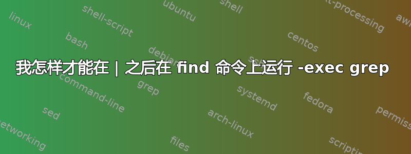 我怎样才能在 | 之后在 find 命令上运行 -exec grep