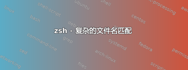 zsh - 复杂的文件名匹配