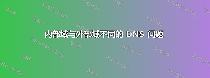 内部域与外部域不同的 DNS 问题