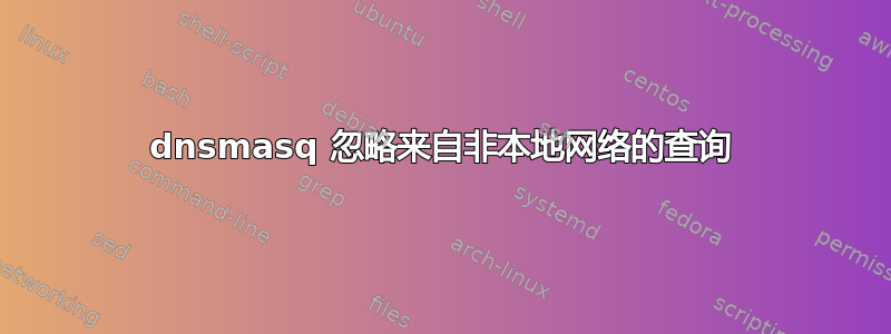 dnsmasq 忽略来自非本地网络的查询