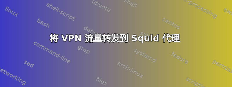 将 VPN 流量转发到 Squid 代理