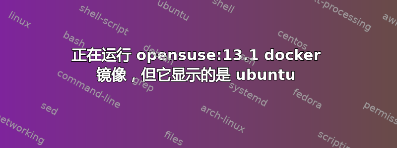 正在运行 opensuse:13.1 docker 镜像，但它显示的是 ubuntu