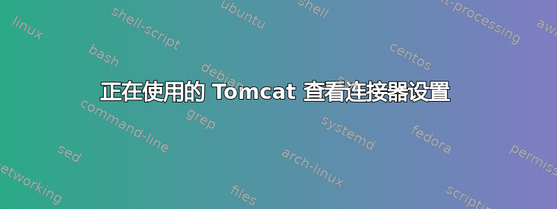 正在使用的 Tomcat 查看连接器设置