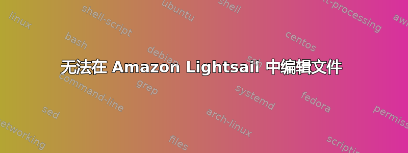 无法在 Amazon Lightsail 中编辑文件