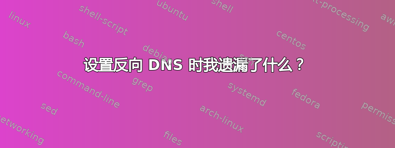 设置反向 DNS 时我遗漏了什么？