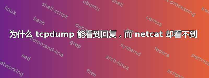 为什么 tcpdump 能看到回复，而 netcat 却看不到